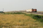 BNSF SB autorack